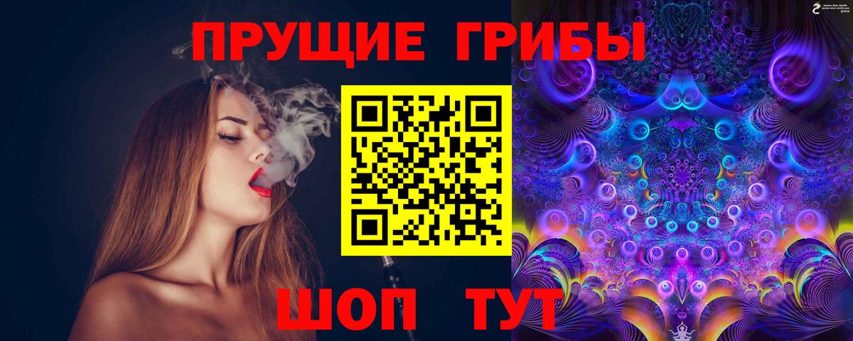 Лсд 25 Елец