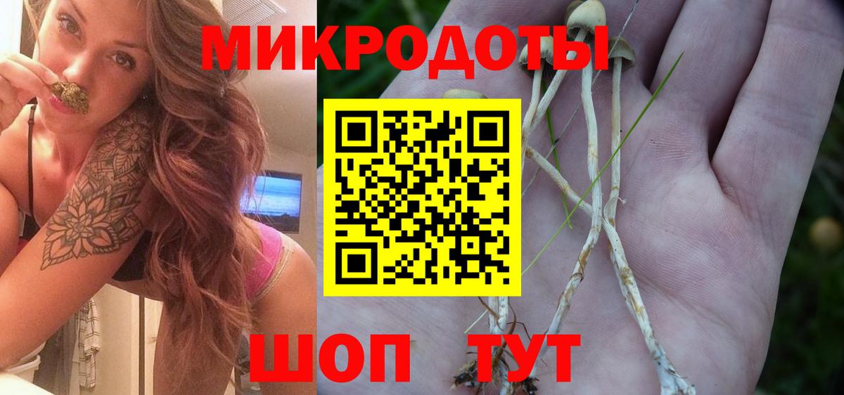 Галлюциногенные грибы ЛСД Елец