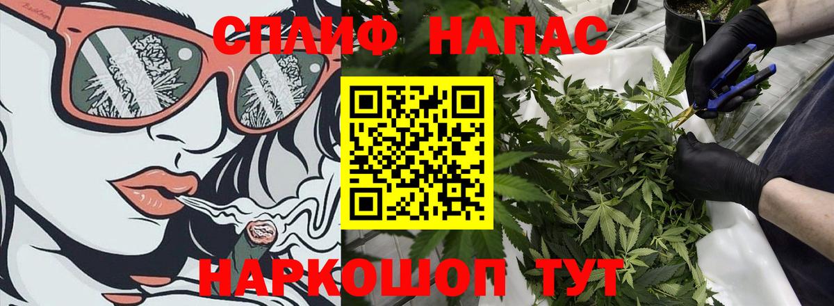 Бошки марихуана план  Конопля White Widow  Вход с VPN  Елец  Каннабис MAZAR  Бошки Шишки тримм 